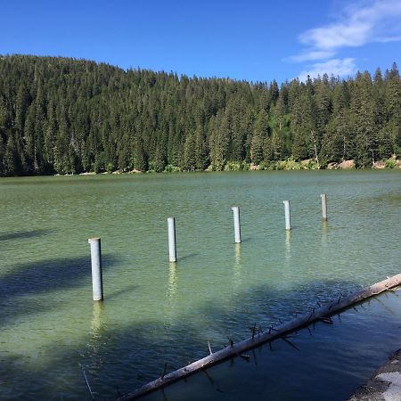 Le Petit Kichon Διαμέρισμα Gérardmer Εξωτερικό φωτογραφία