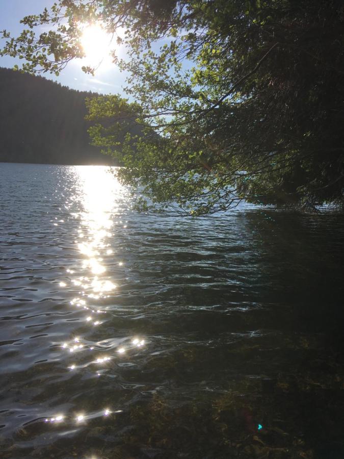 Le Petit Kichon Διαμέρισμα Gérardmer Εξωτερικό φωτογραφία