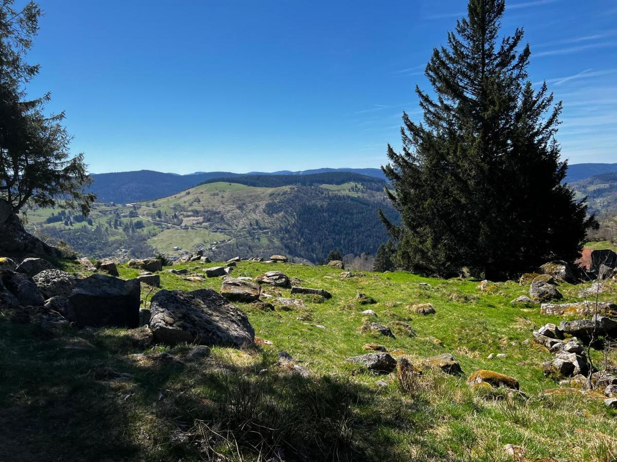 Le Petit Kichon Διαμέρισμα Gérardmer Εξωτερικό φωτογραφία