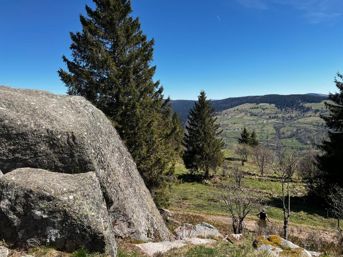 Le Petit Kichon Διαμέρισμα Gérardmer Εξωτερικό φωτογραφία